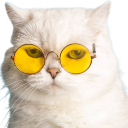 cool_cat Discord sticker - 𝐺𝑂𝑇𝐶/𝐸𝑚𝑜𝑗𝑖𝑠