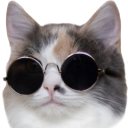 cool_cat custom emote from 𝐺𝑂𝑇𝐶/𝐸𝑚𝑜𝑗𝑖𝑠