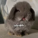 blehh
