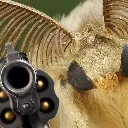 mothgun mothgun