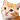 02cat animated Discord emote | ꒰  .  🌈 。cndyume ◟ `` ˖