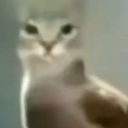 gato6 custom emote - Mundo dos Animes - Br