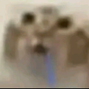 gato25 Discord Emoji from Mundo dos Animes - Br