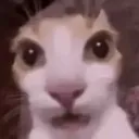 emoji_5 emoji_5