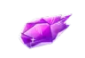 fragment