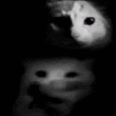 hush Discord Emoji - Shadow Arms Co.