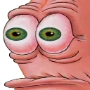 stare