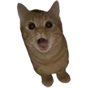 emoji_33