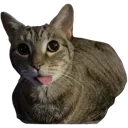 emoji_34