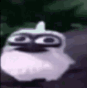 emoji_79 animated Discord emote - The Z's