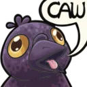 crow_caw