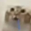 yeeerrduurrrrrr