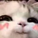 uwu_cute Discord sticker | 〔 ɢᴇᴏᴍᴏɴᴅᴇ 〕 /geo 🇫🇷🇵🇸