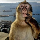 emoji_6 custom emote from Nate's Galaxy | Hangout Server