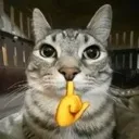 emoji_134