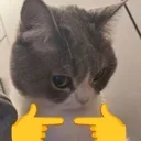 emoji_135