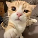 emoji_136