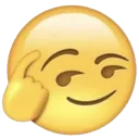 brain
