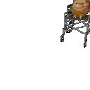 2008catinawheelchair