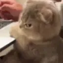 angry_5