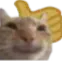 Thumbsup
