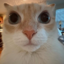 yha Discord Emoji | Mundo dos Animes - Br