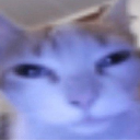 oque custom emote - Mundo dos Animes - Br