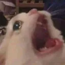 SCREAMEH