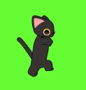 cat_dance