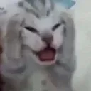 :halp: