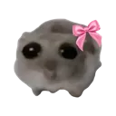 <:cute_hamster:1494057732536270981>