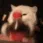 <a:catshake:1494057886643650610>
