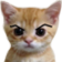 Angry_kitty Discord Emoji from RON