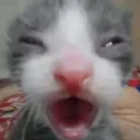 emoji_13 emoji_13