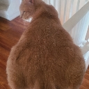 dagyatt Discord sticker | ꒰  .  🌈 。cndyume ◟ `` ˖