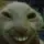 CatSmile
