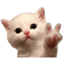 kittenpeace custom emote | Sammy's Indie-Electro Lounge