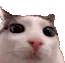 Plink