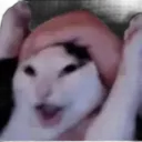 Yayyy