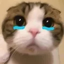 emoji_139
