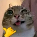 emoji_140