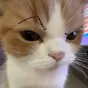 emoji_141