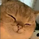 emoji_141