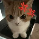 emoji_144