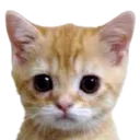 emoji_2