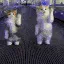 aicatdance3 aicatdance3