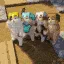 aicatminecraft