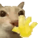 mrwavey animated emote | Sammy's Indie-Electro Lounge
