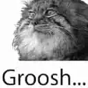 Groosh