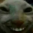 xdd